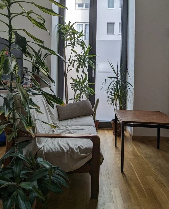 Blick auf die Couch im Freiburger Büro
